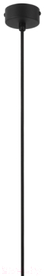 Потолочный светильник ЭРА PL 17 BK / Б0055579 (черный)