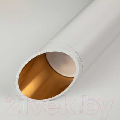 Потолочный светильник ЭРА PL 17 WH / Б0055580 (белый)