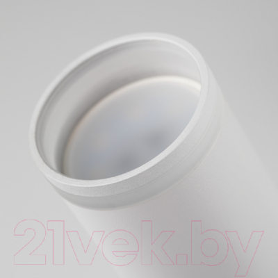 Потолочный светильник ЭРА PL16 WH / Б0055573