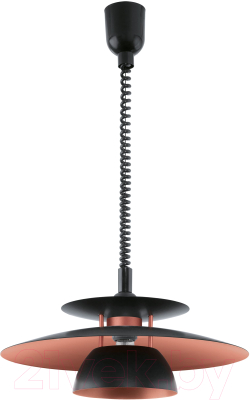 Потолочный светильник Eglo Brenda 31666 - фото