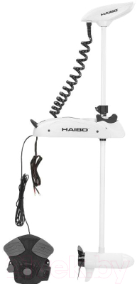 Мотор лодочный Haibo iPenguin P65 12V - фото