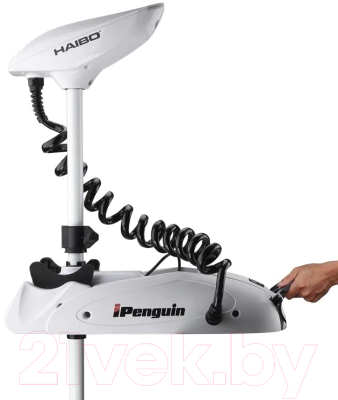 Мотор лодочный Haibo iPenguin P65 12V