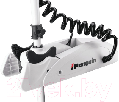 Мотор лодочный Haibo iPenguin P65 12V