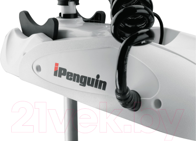 Мотор лодочный Haibo iPenguin P65 12V