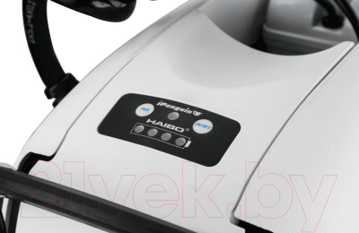 Мотор лодочный Haibo iPenguin P65 12V