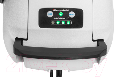 Мотор лодочный Haibo iPenguin P65 12V