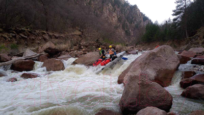 Катамаран Вольный ветер Каскад / 13004