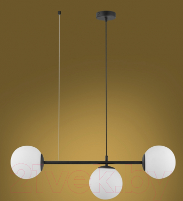 Потолочный светильник TK Lighting TKP6218