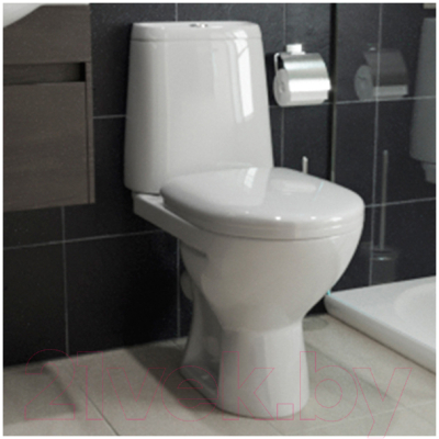 Унитаз напольный Rosa Сканди (белый)