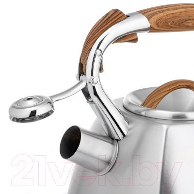 Чайник со свистком Lara LR00-66 (матовый)