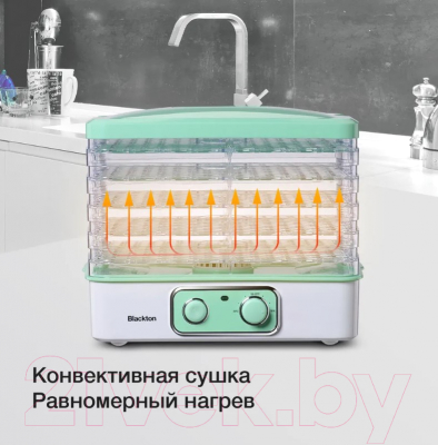 Сушилка для овощей и фруктов Blackton Bt FD1111 (белый/зеленый)