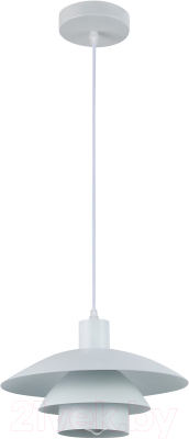 Потолочный светильник Rivoli Xenobia 5097-201 / Б0054867