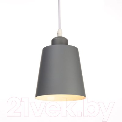 Потолочный светильник BayerLux Цилиндр 3950398