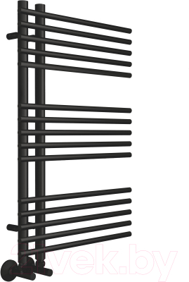 Полотенцесушитель водяной Terminus Астра П15 70x800