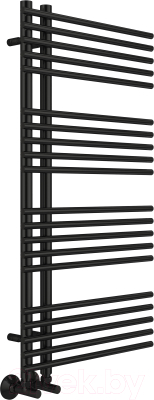 Полотенцесушитель водяной Terminus Астра П20 70x1000