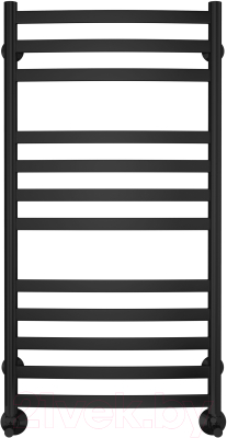 Полотенцесушитель водяной Terminus Авиэль П12 500x1000