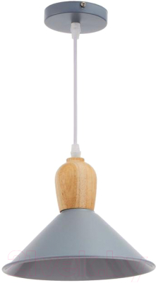 Потолочный светильник BayerLux 2034833/1 / 4642585 - фото