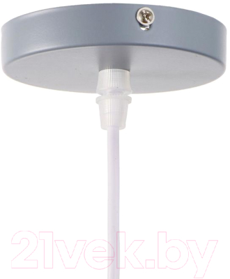 Потолочный светильник BayerLux 2034833/1 / 4642585