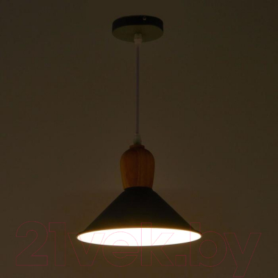 Потолочный светильник BayerLux 2034833/1 / 4642585