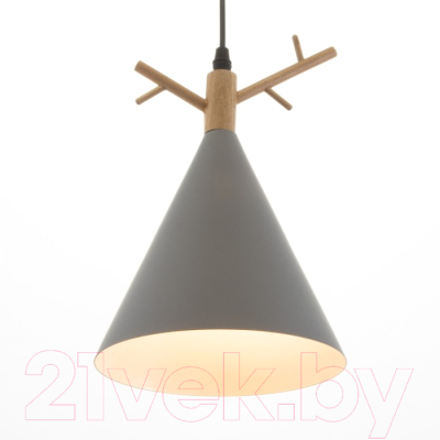 Потолочный светильник BayerLux 34857/1 / 4941283