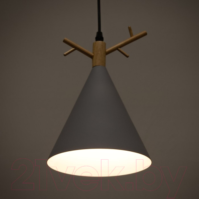 Потолочный светильник BayerLux 34857/1 / 4941283