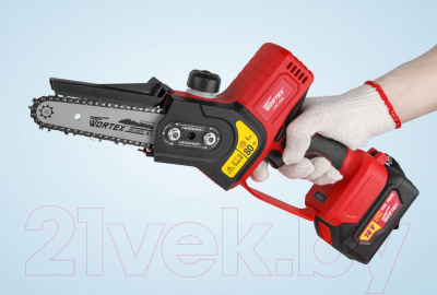 Пила цепная аккумуляторная Wortex CEC 2518 ALL1 (0323167)