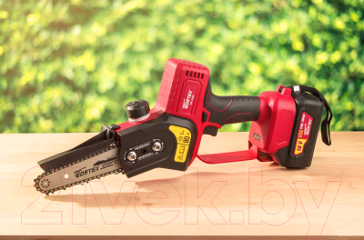 Пила цепная аккумуляторная Wortex CEC 2518 ALL1 (0323167)