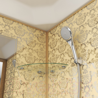 Душевая кабина Niagara NG-7701G 90x90x210