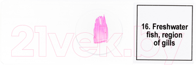 Набор микропрепаратов Levenhuk Discovery Prof DPS 25 / D78415