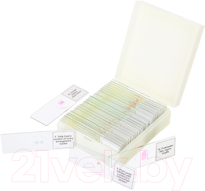 Набор микропрепаратов Levenhuk Discovery Prof DPS 25 / D78415