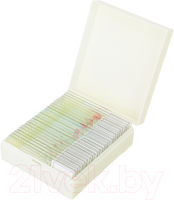 Набор микропрепаратов Levenhuk Discovery Prof DPS 25 / D78415