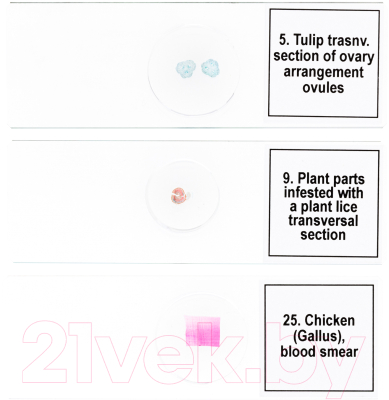 Набор микропрепаратов Levenhuk Discovery Prof DPS 25 / D78415