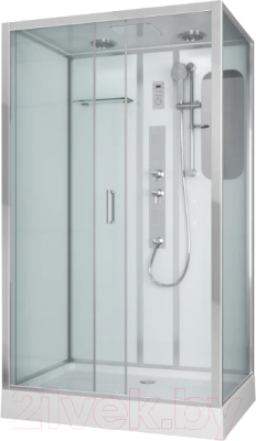 Душевая кабина Niagara NG-6012-01GQL 120x80x210 - фото
