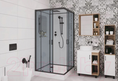 Душевая кабина Niagara NG-6902-01Q BLACK 100x100x210