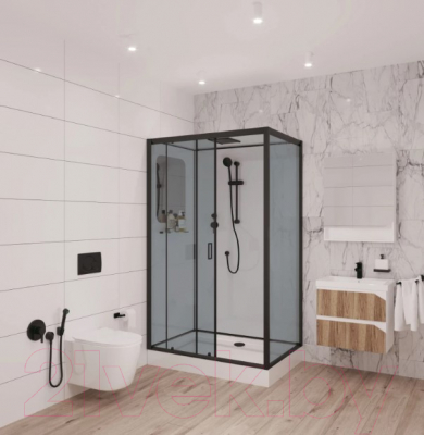 Душевая кабина Niagara NG-6912-01QL Black 120x80x210