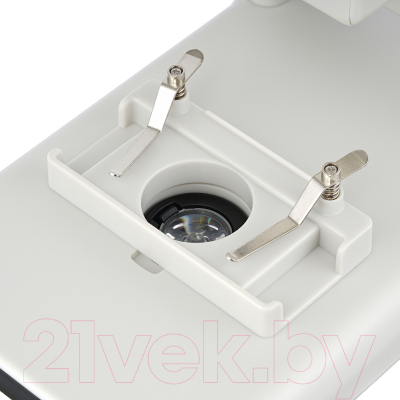 Микроскоп цифровой Levenhuk Rainbow DM700 LCD / D76825 