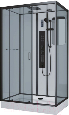 Душевая кабина Niagara NG-6912-01GQL BLACK 120x80x210 - фото