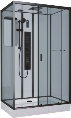 Душевая кабина Niagara NG-6912-01GQR BLACK 120x80x210 - фото
