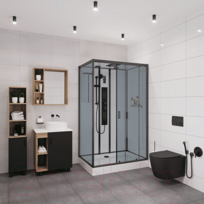 Душевая кабина Niagara NG-6912-01GQR BLACK 120x80x210