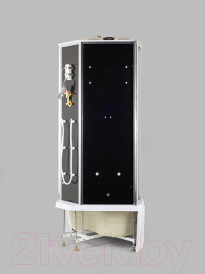 Душевая кабина Niagara NG-908-01 90x90x220