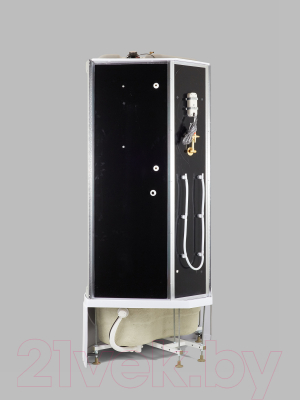 Душевая кабина Niagara NG-908-01 90x90x220