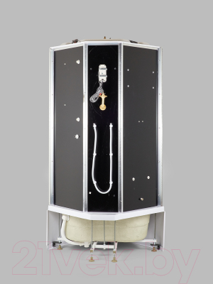 Душевая кабина Niagara NG-908-01 90x90x220