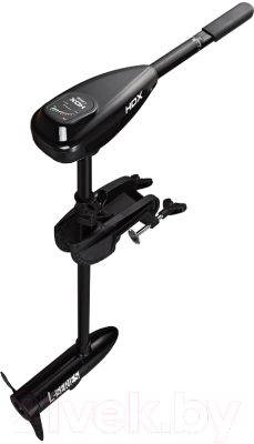 Мотор лодочный HDX 55L