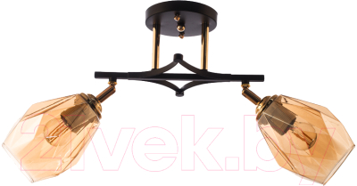 Потолочный светильник Aitin-Pro НПБ N4510/2 - фото