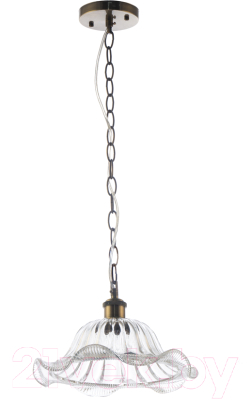 Потолочный светильник Aitin-Pro НПБ N4340/1H - фото