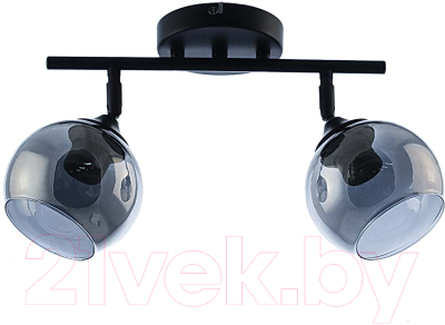 Потолочный светильник Aitin-Pro НПБ A721/2 (черный) - фото