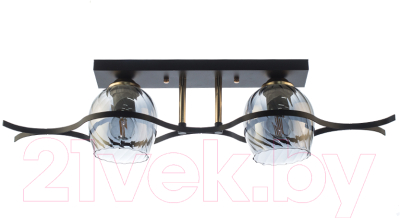 Потолочный светильник Aitin-Pro НПБ N4746/2 - фото