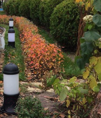 Светильник уличный Fumagalli Sauro D15.553.000.AYF1R