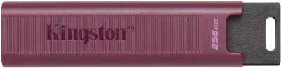 Usb flash накопитель Kingston Data Traveler Max 256Gb (DTMAXA/256GB) - фото