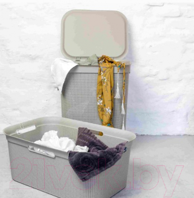 Корзина для белья Rotho Laundry Brisen / 1023607422